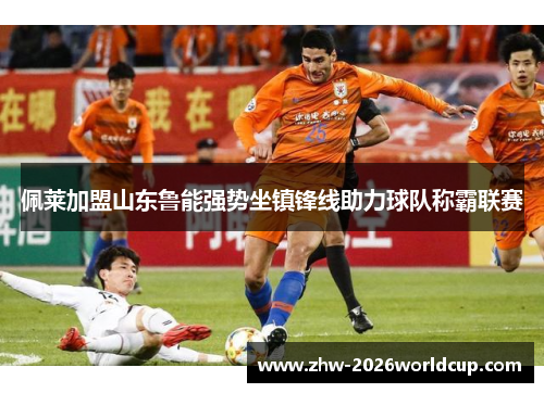 佩莱加盟山东鲁能强势坐镇锋线助力球队称霸联赛