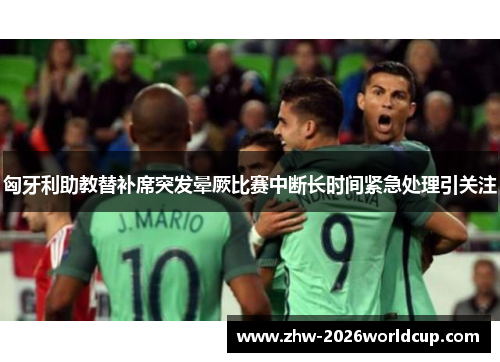 匈牙利助教替补席突发晕厥比赛中断长时间紧急处理引关注