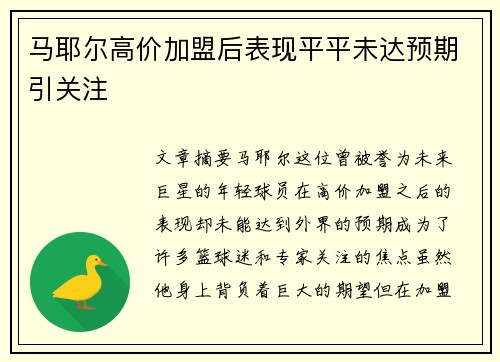 马耶尔高价加盟后表现平平未达预期引关注